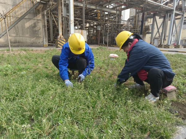 3月22日，行政保衛(wèi)部馬師傅和孫師傅在道路兩旁清除雜草。.jpg