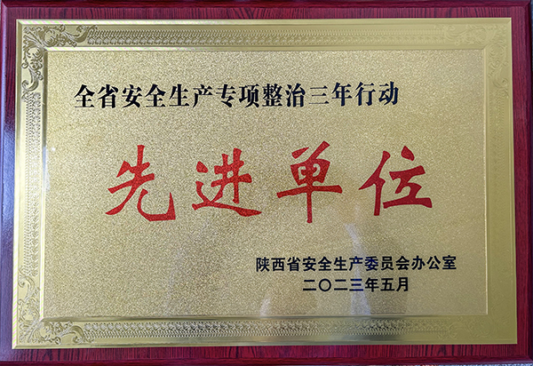 全省安全生產(chǎn)專(zhuān)項(xiàng)整治三年行動(dòng)先進(jìn)單位獎(jiǎng)牌   600.jpg